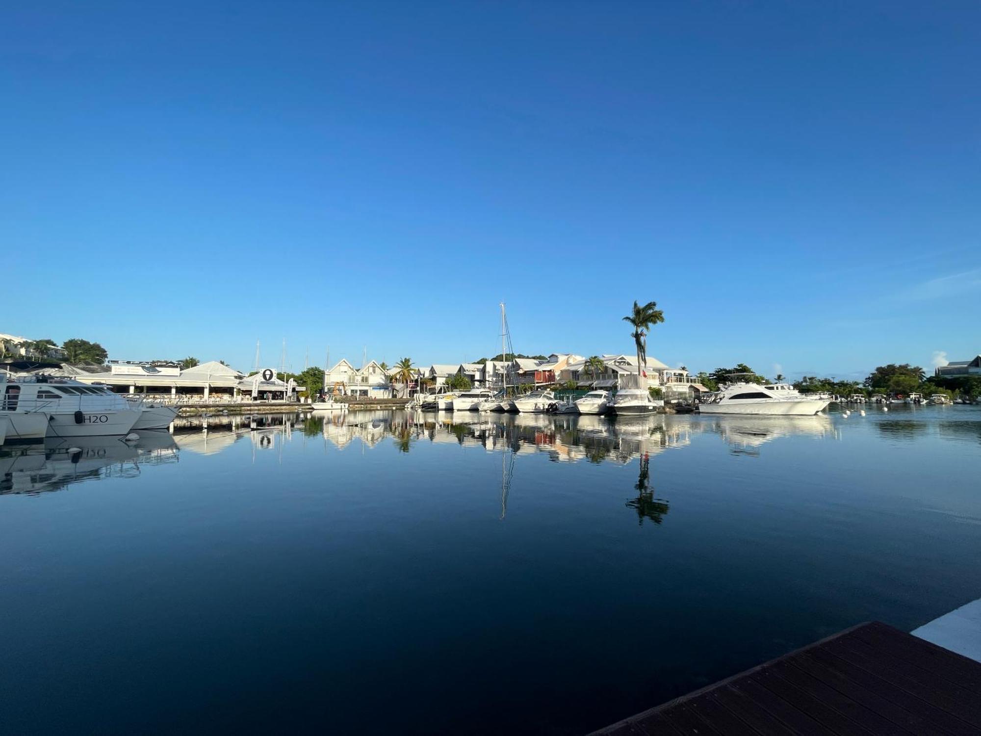 Grand Sejour Lumineux Avec Balcon & Vue Cathedrale Apartment Pointe-a-Pitre  Exterior photo